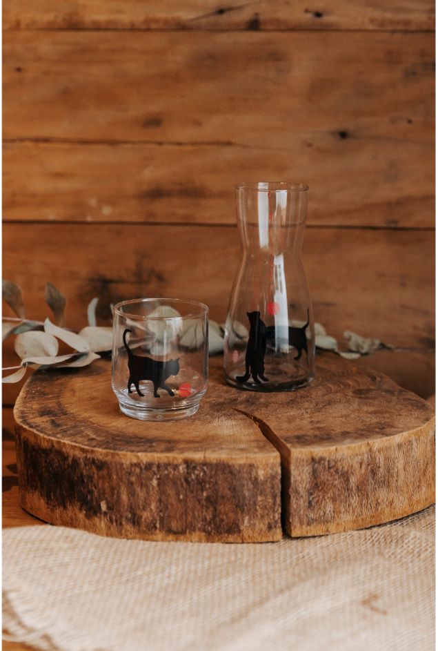 Moringa Gatos Greghi Design Moringa Gatos Greghi Design