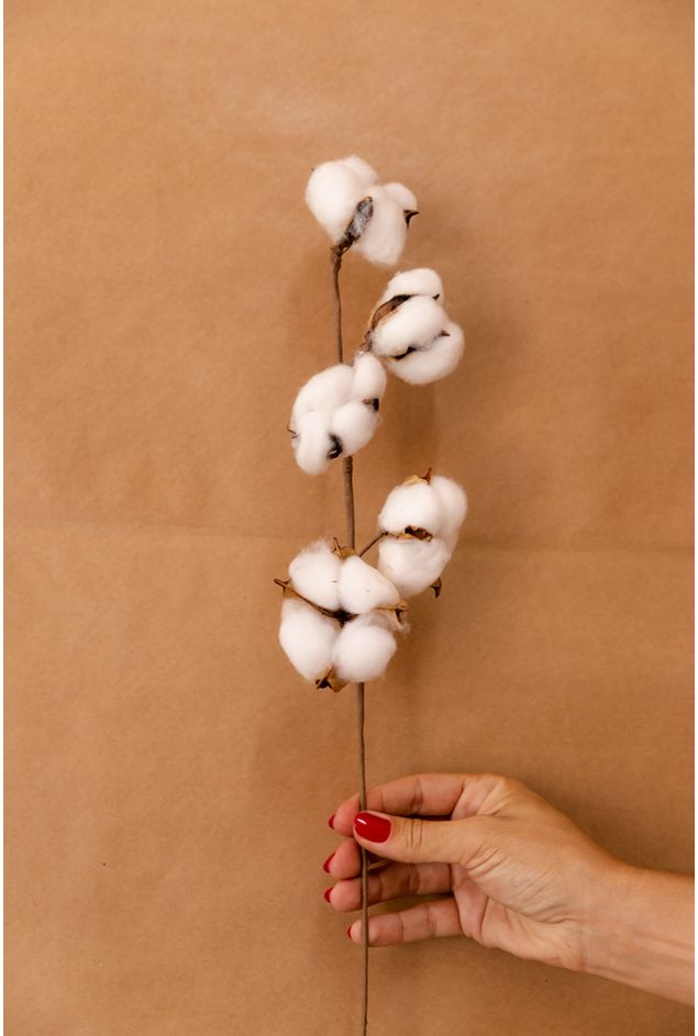 Galho Algodão - Natal Galho Algodão Galho Algodão - Natal Galho Algodão