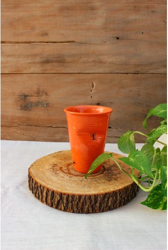 copo amassado de formiguinhas laranja em fundo de madeira