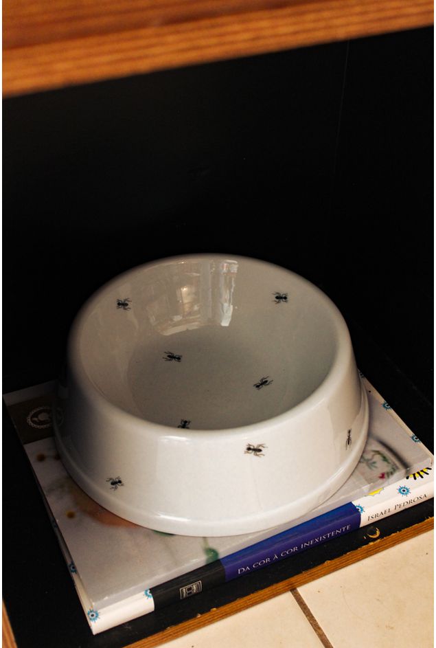 Comedouro Formigas G Greghi Design Comedouro Formigas G Greghi Design