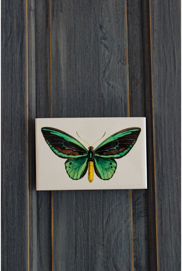 Azulejo Decorativo Borboleta Verde Greghi Design Azulejo Decorativo Borboleta Verde Greghi Design