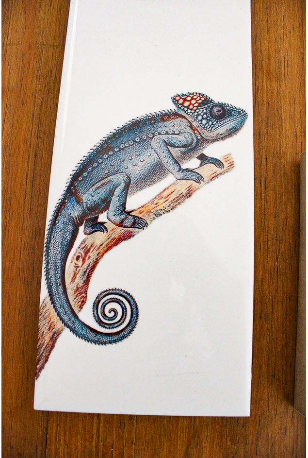 Azulejo Decorativo Camaleão Greghi Design Azulejo Decorativo Camaleão Greghi Design