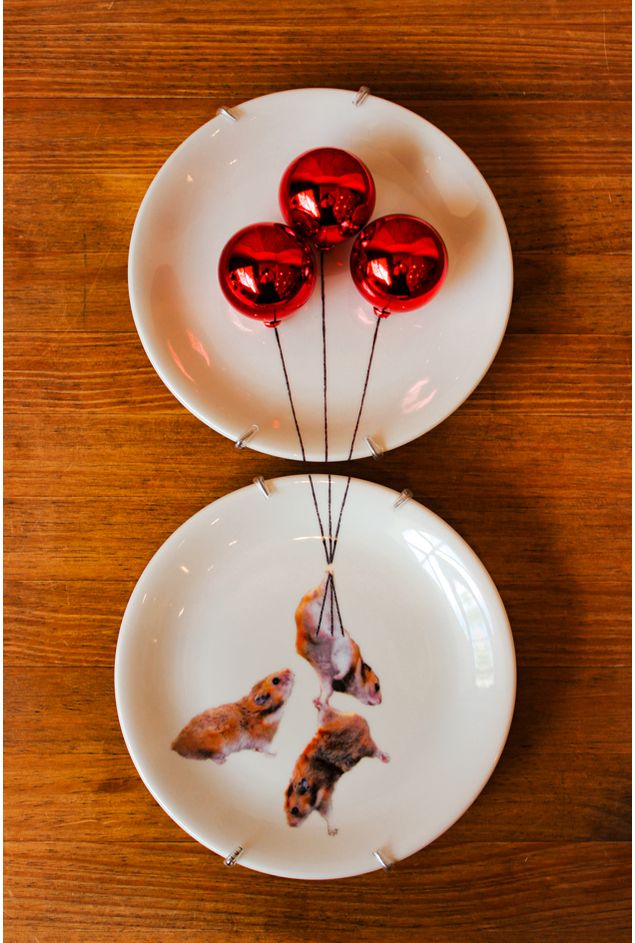 Painel de Pratos Esquilo no Balão Vermelho Greghi Design Painel de Pratos Esquilo no Balão Vermelho Greghi Design