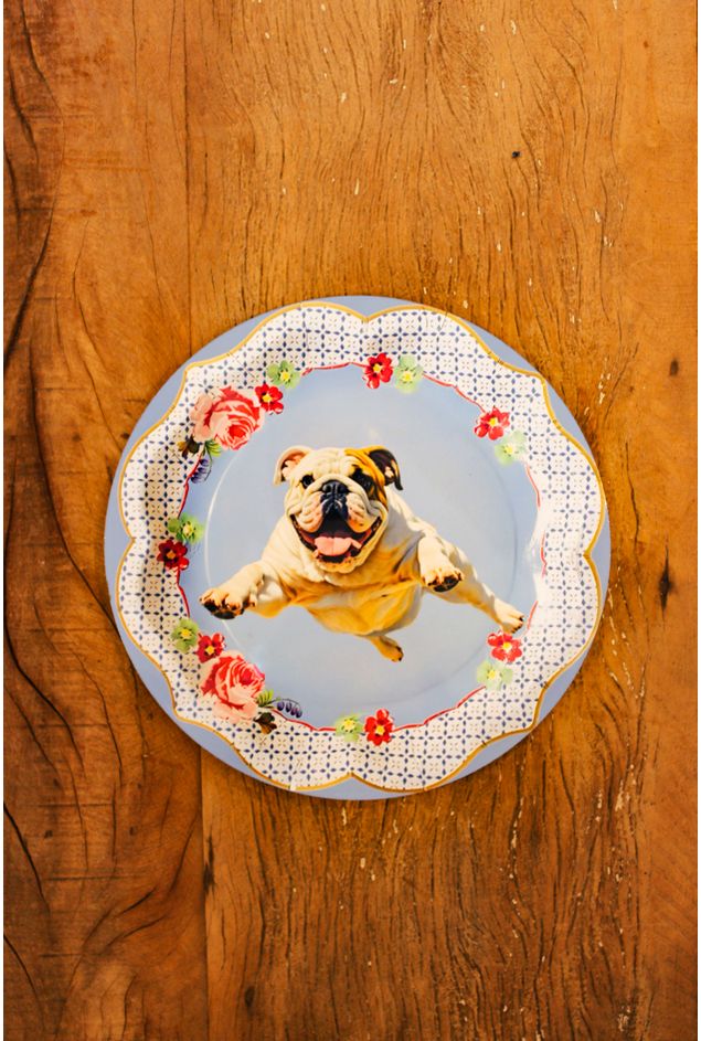 Azulejo Decorativo Redondo Bulldog Greghi Design Azulejo Decorativo Redondo Bulldog Greghi Design