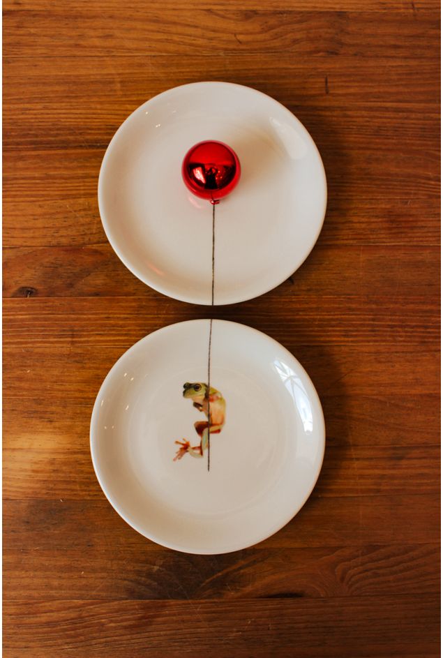 Painel de Pratos Rã no Balão Vermelho Greghi Design Painel de Pratos Rã no Balão Vermelho Greghi Design
