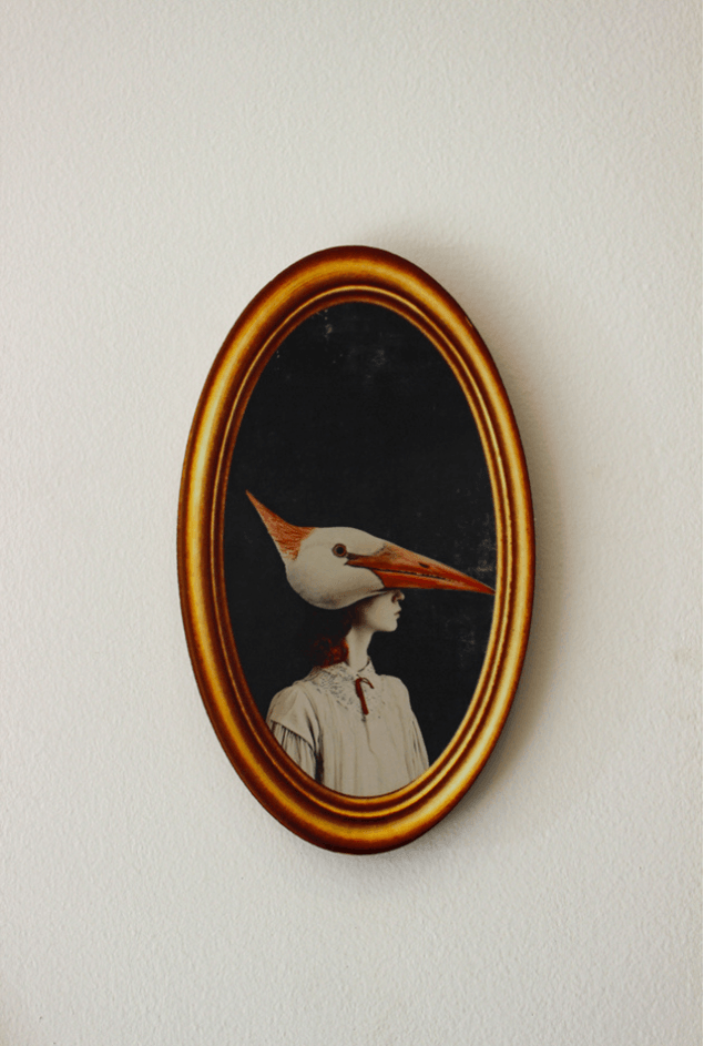 Azulejo Decorativo Oval Retrato Pássaro II Greghi Design