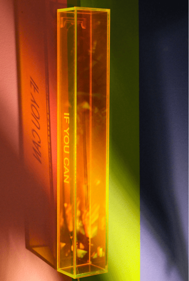 Escultura Neon If You Can