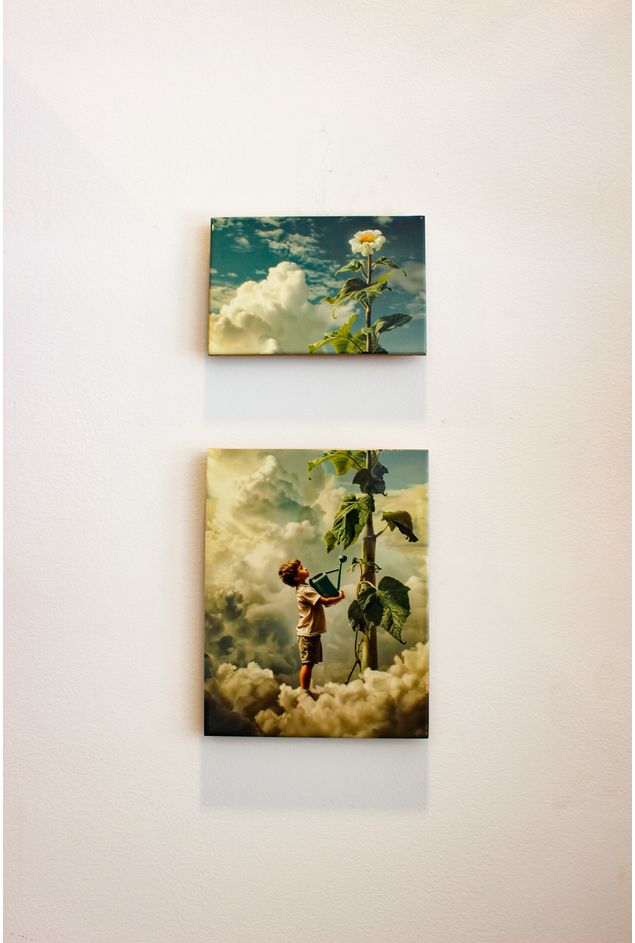 Cj. de Azulejos Pè de Feijão Greghi Design Cj. de Azulejos Pè de Feijão Greghi Design