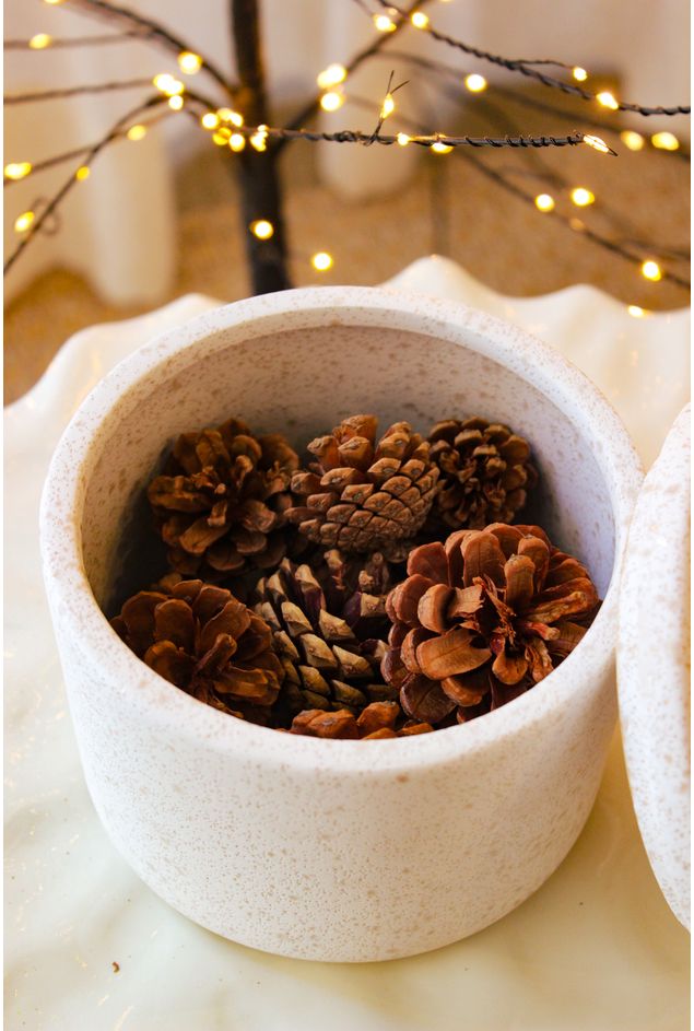 Pacote de Pinhas 12 UN Natal Pacote de Pinhas 12 UN Pacote de Pinhas 12 UN Natal Pacote de Pinhas 12 UN