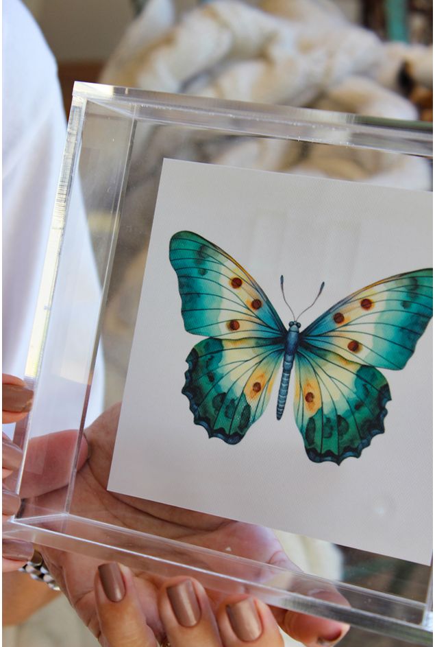 Conjunto de Quadro Acrílico Metamorfose Mimo Galeria Conjunto de Quadro Acrílico Metamorfose Mimo Galeria