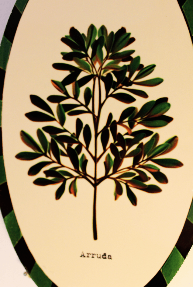 Azulejo Decorativo Oval Retrato Arruda Greghi Design
