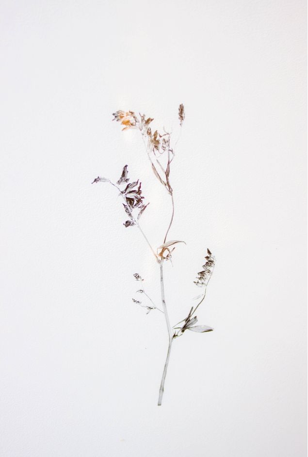 Quadro-decorativo-Botanico-de-inverno-III--11-.jpg