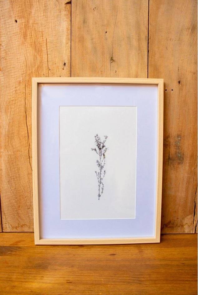 Quadro-decorativo-Botanico-de-inverno-IV--4-.jpg