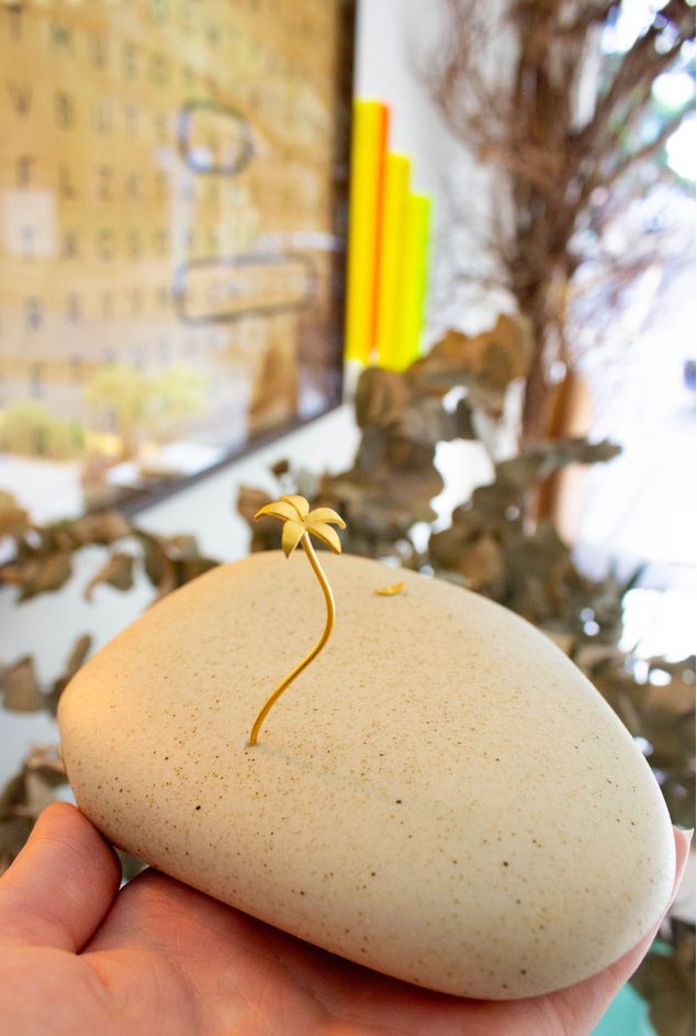 IMG_8587.jpg IMG_8587.jpg