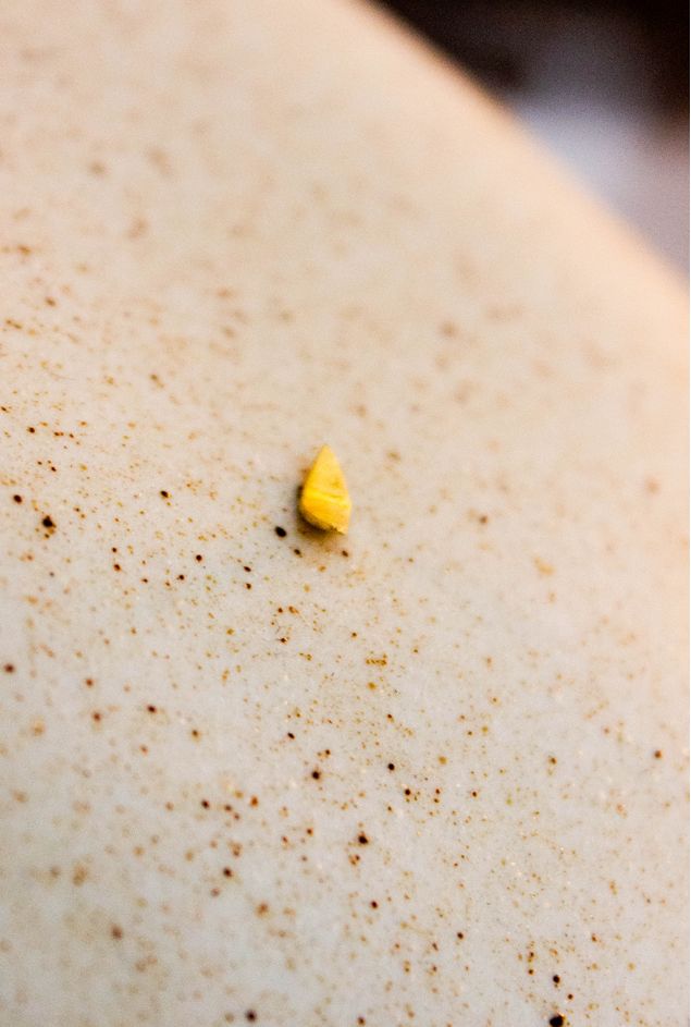 IMG_8581.jpg IMG_8581.jpg