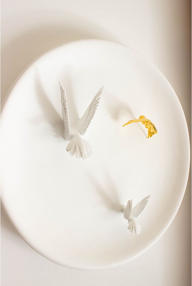 IMG_8546.jpg IMG_8546.jpg