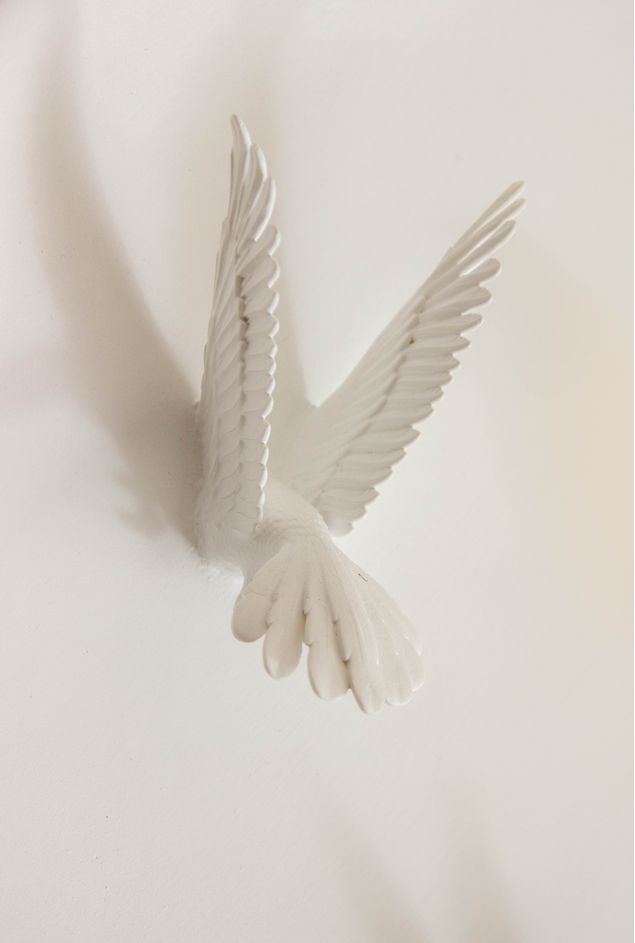 IMG_8544.jpg IMG_8544.jpg