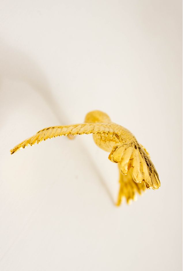 IMG_8545.jpg IMG_8545.jpg