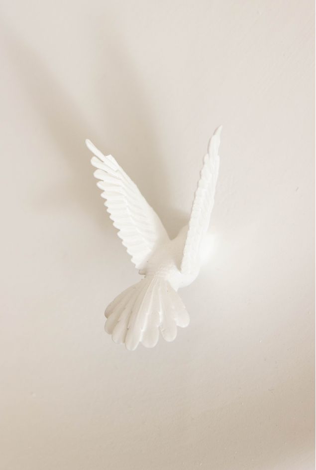 IMG_8542.jpg IMG_8542.jpg