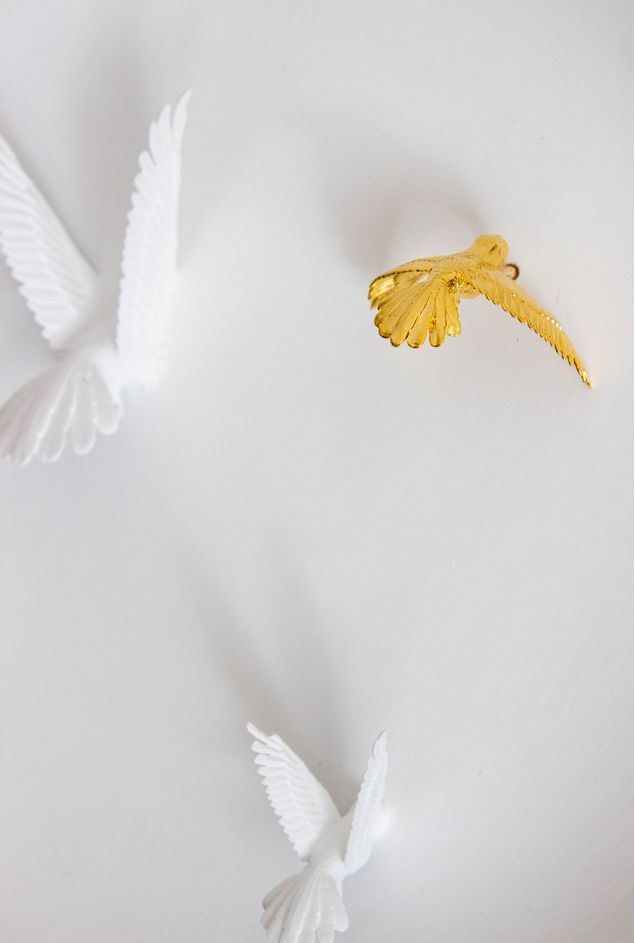 IMG_8543.jpg IMG_8543.jpg