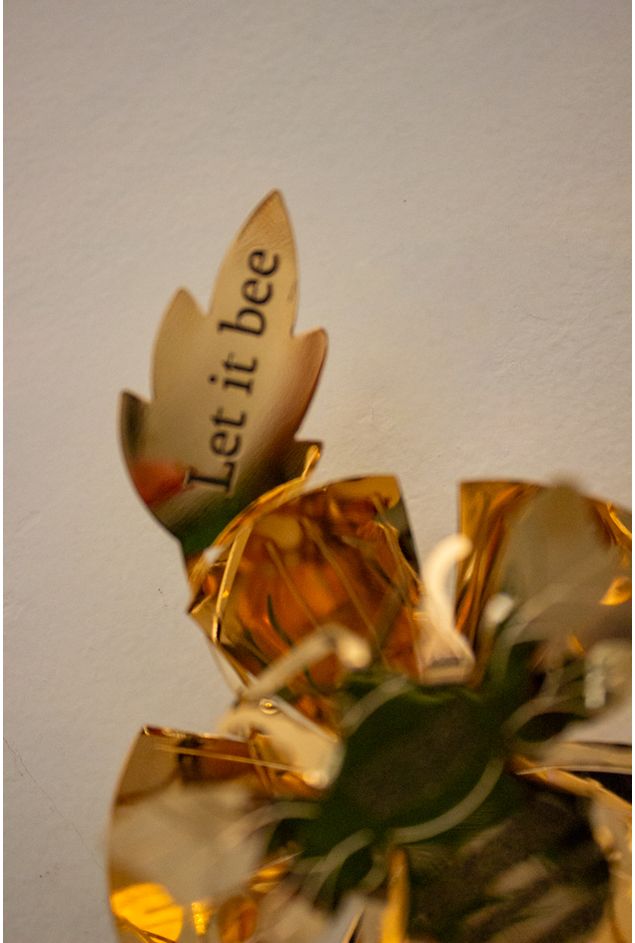 IMG_9020.jpg IMG_9020.jpg