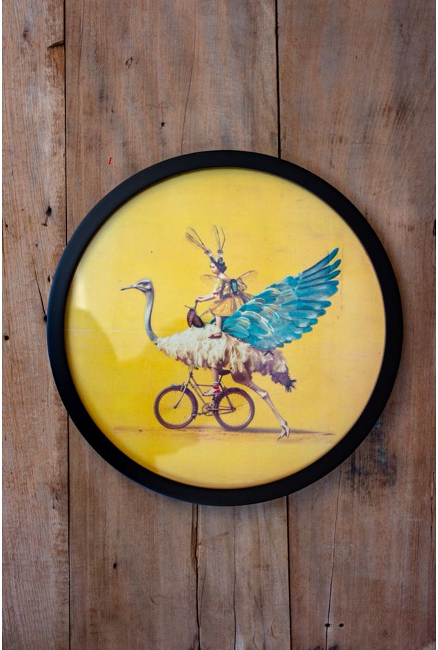 IMG_9206.jpg IMG_9206.jpg