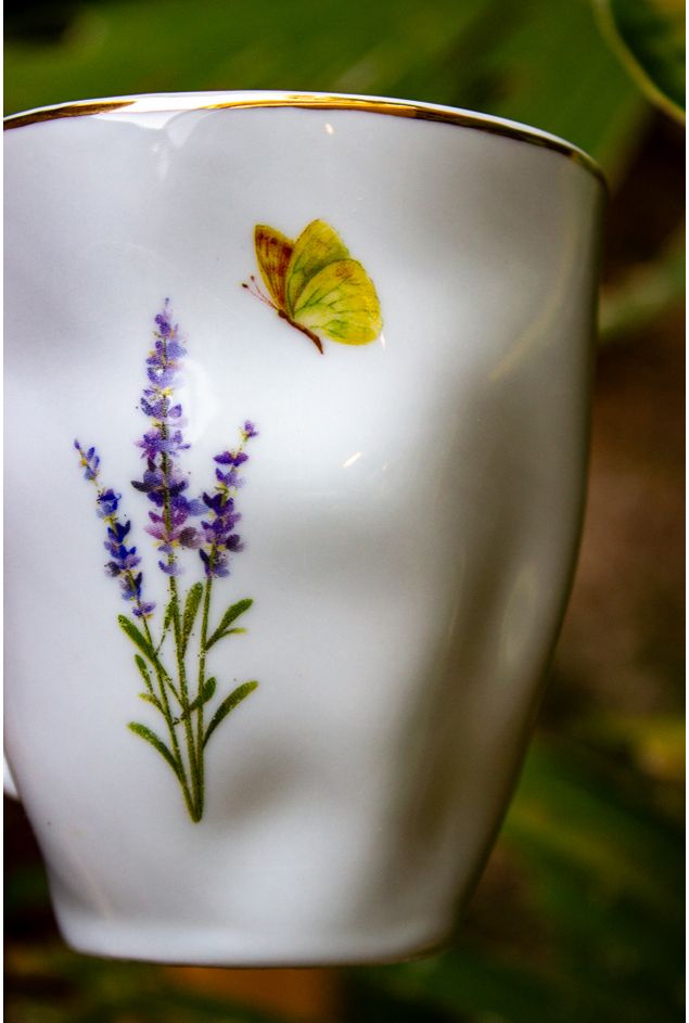 IMG_9103.jpg IMG_9103.jpg