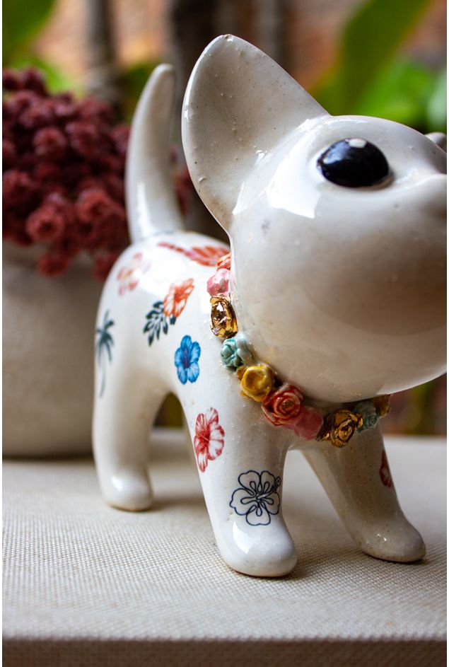 Miau-Aloha--2-.jpg