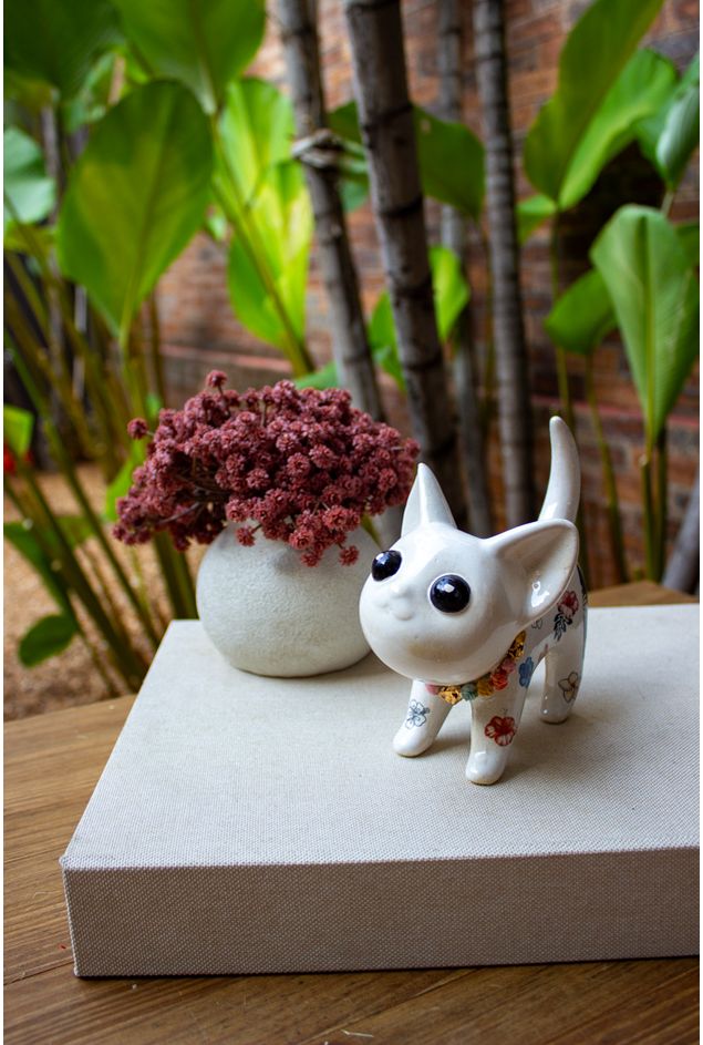 Miau-Aloha--4-.jpg