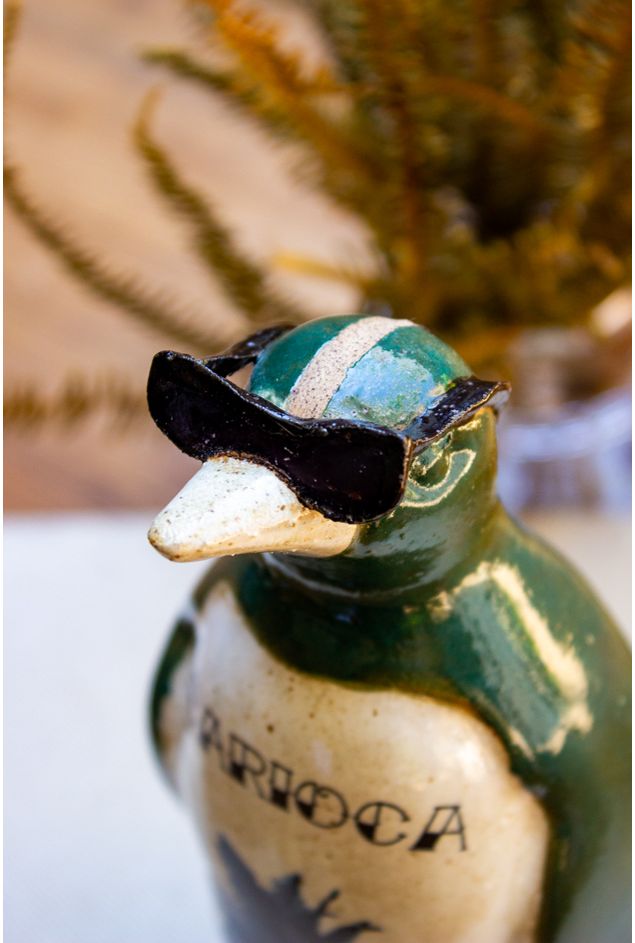Pinguim-Carioca--2-.jpg