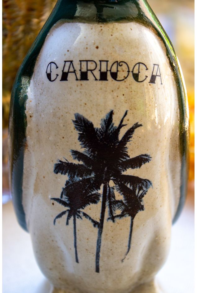 Pinguim-Carioca3.jpg