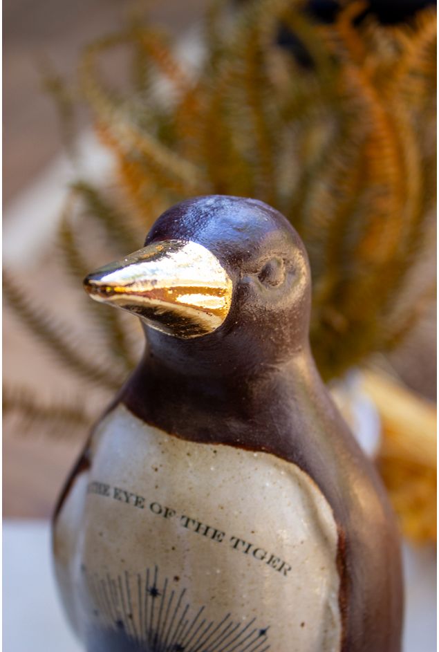 Pinguim-Eye--3-.jpg