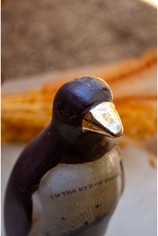 Pinguim-Eye--4-.jpg