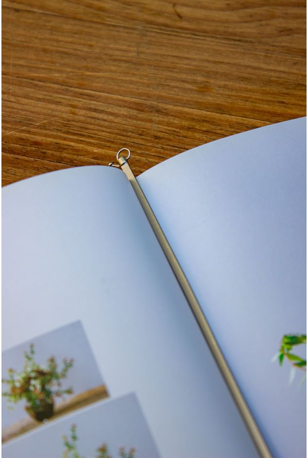 IMG_9817.jpg IMG_9817.jpg