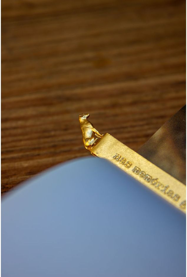 IMG_9813.jpg IMG_9813.jpg