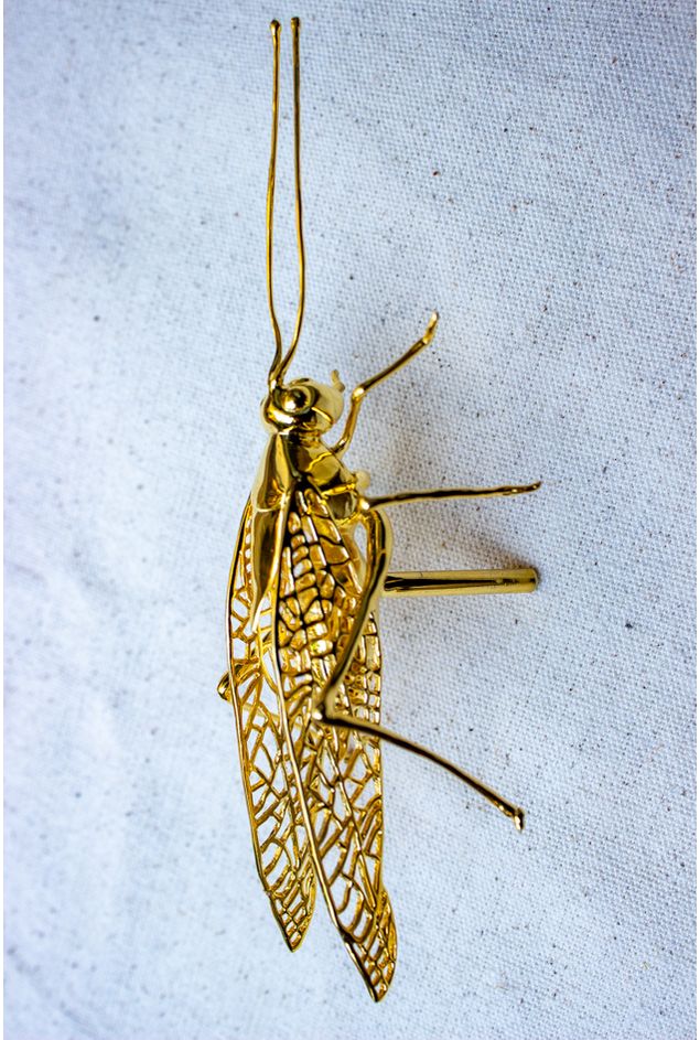 Escultura-Grilo-Ouro-5.jpg Escultura-Grilo-Ouro-5.jpg