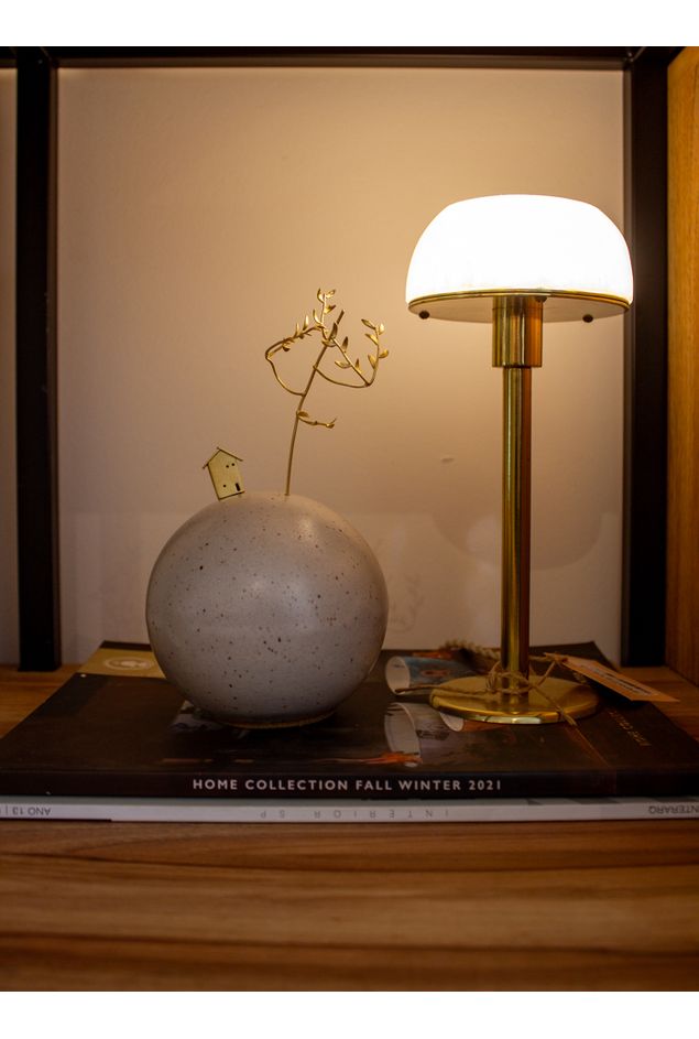 IMG_9851.jpg IMG_9851.jpg