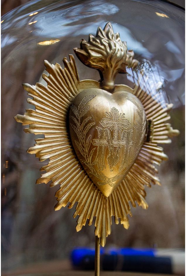 IMG_9270.jpg IMG_9270.jpg