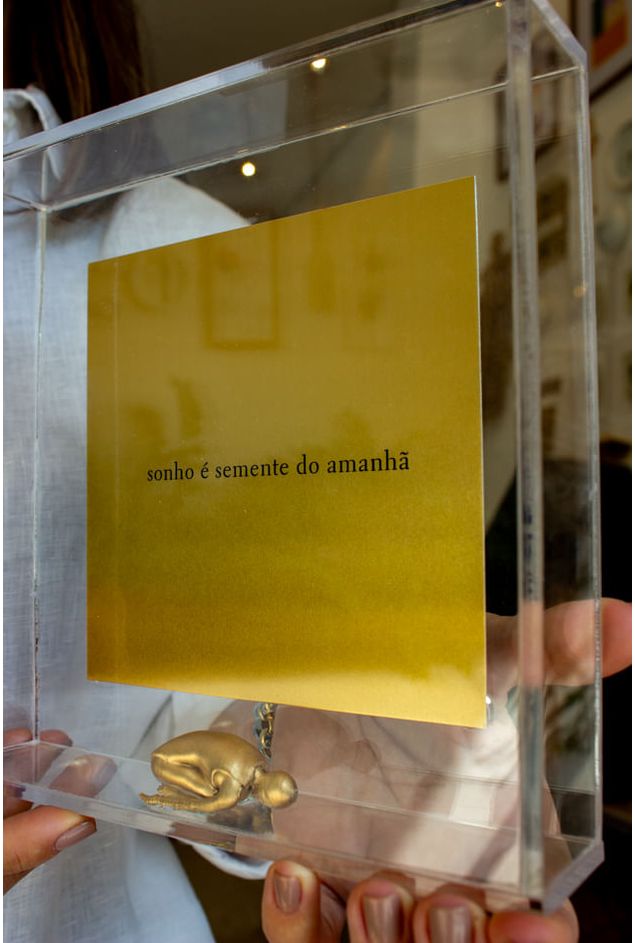 Quadro-Acrilico-Sonho-E-Semente-do-Amanha--2-