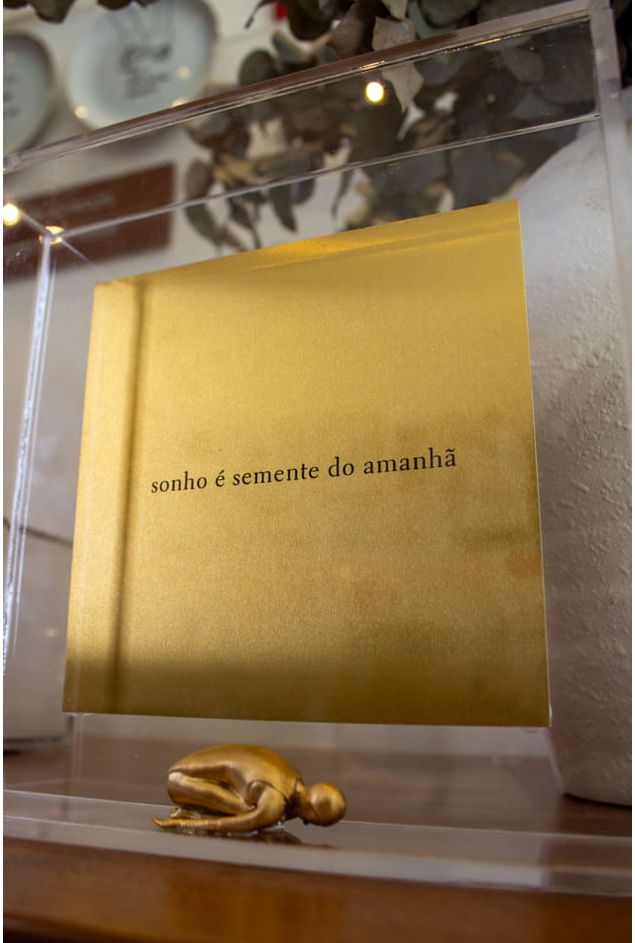 Quadro-Acrilico-Sonho-E-Semente-do-Amanha-1