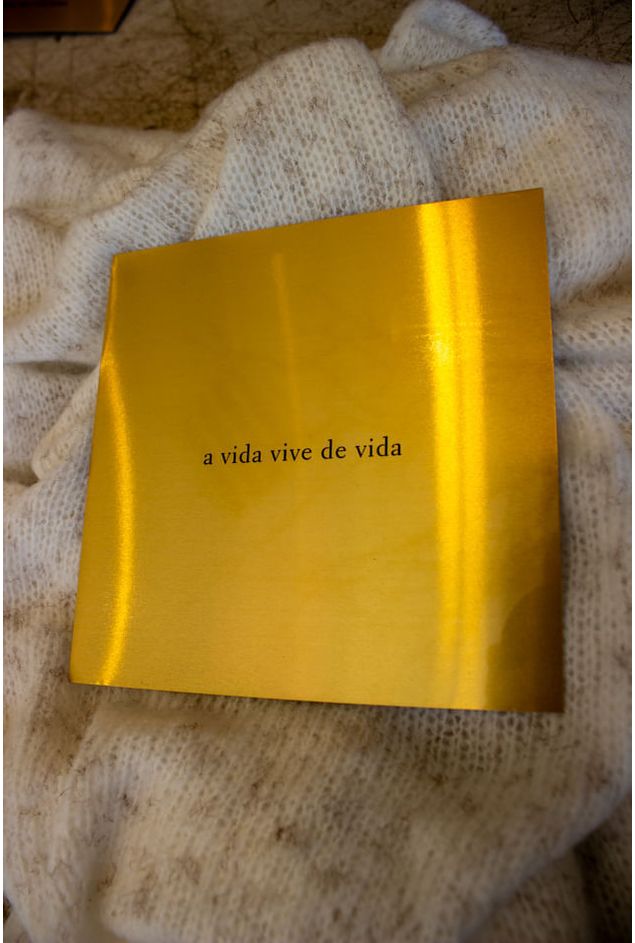 Lamina-Poetica-A-Vida-Vive-de-Vida--2-
