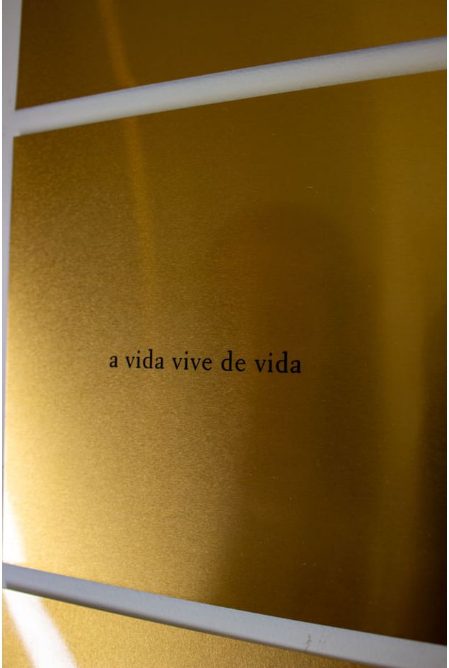 Lamina-Poetica-A-Vida-Vive-de-Vida--6-