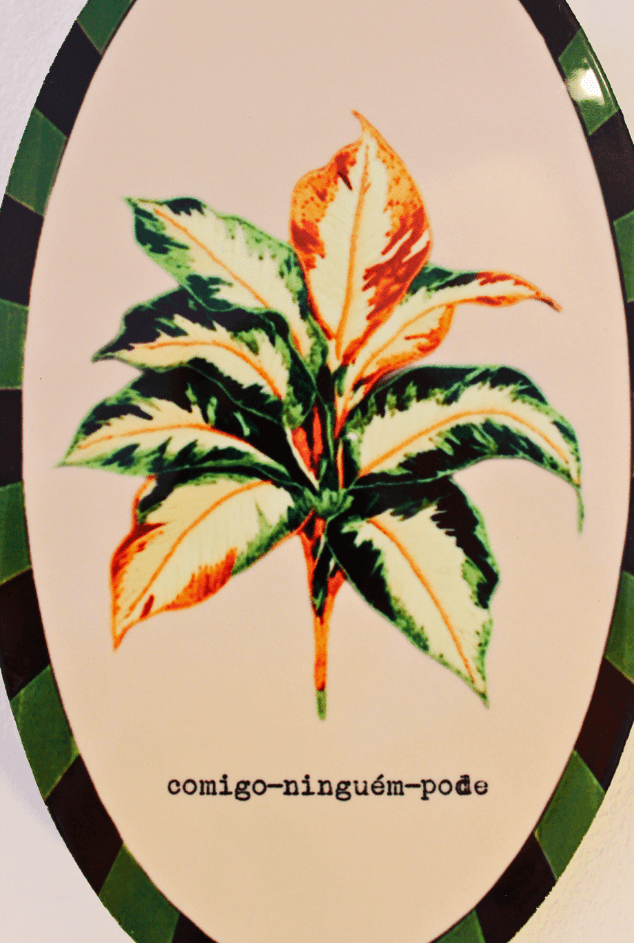 Azulejo Decorativo Oval Retrato Comigo Ninguém Pode Greghi Design Azulejo Decorativo Oval Retrato Comigo Ninguém Pode Greghi Design