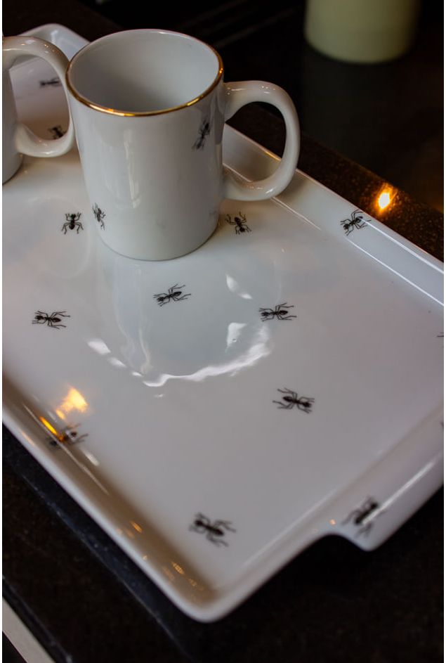 IMG_9258.jpg IMG_9258.jpg