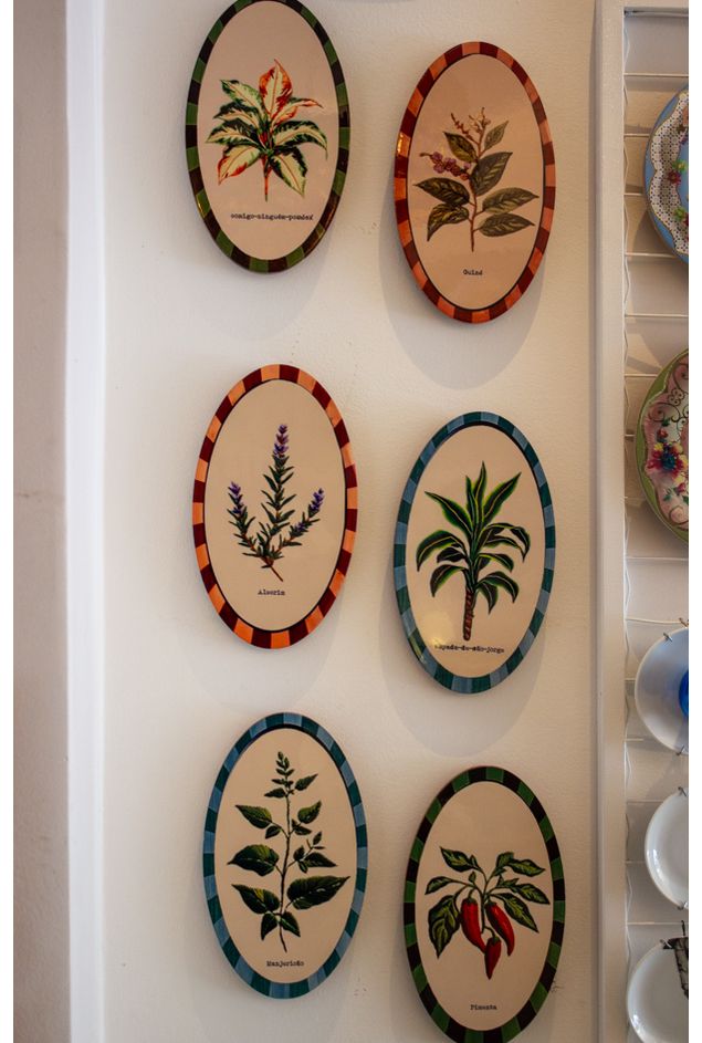 Combinação de Parede Saberes da Terra Combinação de Parede Saberes da Terra