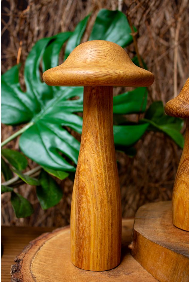 Cogumelo Madeira G Cogumelo Madeira G