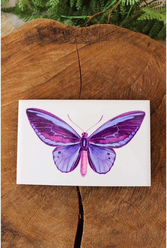 azulejo-borboleta-greghi-design--2-