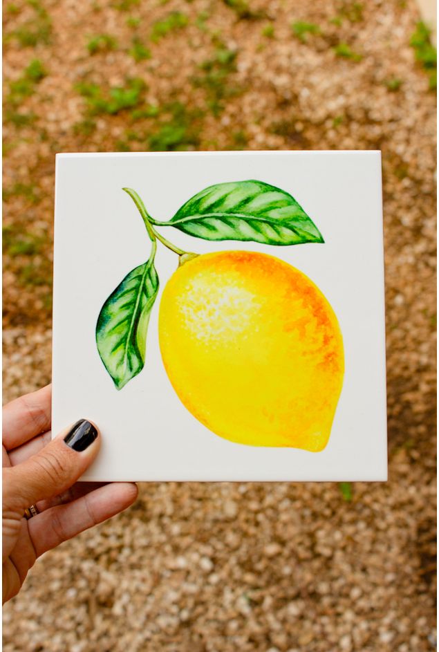 Azulejo-Decorativo-Limao-Siciliano-Mimo-Galeria--3--2