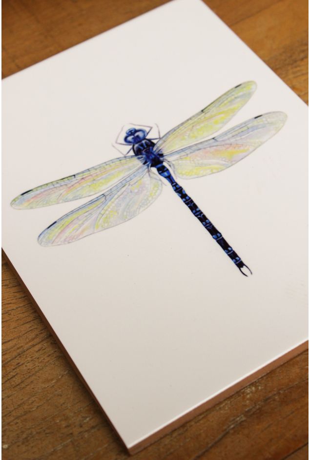 Combinacao-de-Parede-Aconchego-Mimo-Galeria---2-