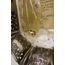 Prato-Garimpado-Nino-Exclusivo-Mimo-e-DZT--1-
